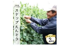 【2025年5月中旬から順次発送】【朝獲れ新鮮】北海道 せたな町産 スナップえんどう 2kg 旬 炒め お弁当 みそ汁 パスタ 天ぷら おつまみ 野菜 ふるさと納税