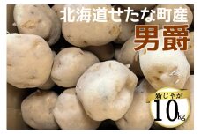 【2025年10下旬から順次発送】【令和7年産】北海道 せたな町産 男爵 10kg 男爵いも 芋 新じゃが じゃがいも 野菜 ふるさと納税