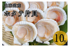 【海鮮BBQにおすすめ】北海道産 ほたて片貝 10枚 ウロ処理済み 洗浄済み殻つき 下処理済 バター焼き ご飯 冷凍 旬 おつまみ 海鮮 せたな町 ふるさと納税