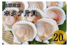【海鮮BBQにおすすめ】北海道産 ほたて片貝 20枚 ウロ処理済み 洗浄済み殻つき 下処理済 バター焼き ご飯 冷凍 旬 おつまみ 海鮮 せたな町 ふるさと納税