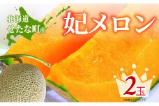 【2025年7月中旬から順次発送】【北海道産極旨メロン】妃メロン 2玉 メロン 旬 野菜 赤肉 ジュース アールスメロン 産地直送 せたな町 ふるさと納税