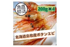 ぷりぷりボタンエビ　北海道日本海ボタンエビ＜200g×4＞_ ボタンエビ ぼたんえび ボタン海老 牡丹海老 海鮮 エビ えび 海老 冷凍 北海道 日本海 国産 魚介類 刺身 天ぷら おかず おつまみ 肴 晩酌 産地直送 送料無料 【1455492】