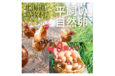 オーガニックファーム・ハッピープレイスの 「ハッピーたまご」40個入り【1460506】