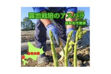 ＜先行受付2024年＞数量限定! 5～6月発送　ML混合!　露地栽培のアスパラガス　1Kg【1479117】