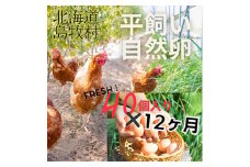 ＜毎月定期便＞ハッピープレイスの自然卵＜ハッピーたまご＞40個入り(全12回)【4012332】