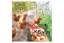 ＜毎月定期便＞ハッピープレイスの自然卵＜ハッピーたまご＞20個入り(全6回)【4012334】