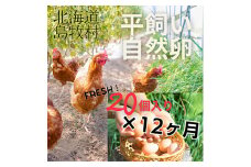 ＜毎月定期便＞ハッピープレイスの自然卵＜ハッピーたまご＞20個入り(全12回)【4012335】