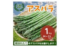 2025年5月中旬より順次発送 朝採りアスパラ＜1kg＞M-2L 北海道 露地栽培【1587134】