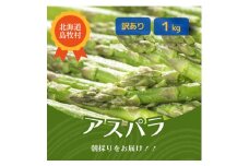 ＜訳あり＞2025年5月中旬より発送 朝採りアスパラ＜1kg＞北海道 露地栽培【1587135】