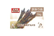 ＜訳あり＞2025年5月より順次発送!露地栽培アスパラガス　1箱(1kg)【1599195】