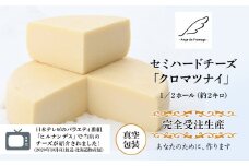 【北海道黒松内産】アンジュ・ド・フロマージュ セミハードチーズ「クロマツナイ」１／２ホール（約２キロ）受注生産