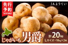 【2025年秋発送 先行予約】じゃがいも 馬鈴薯（男爵）Ｌサイズ　20kｇ＜JAようてい＞ ジャガイモ 芋 いも イモ 野菜 常温