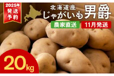 【北海道黒松内産】2025年秋出荷予約 じゃがいも（男爵）20kg 農家直送 ジャガイモ 芋 男爵いも 北海道 予約受付