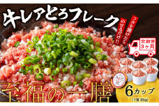【定期便3ヵ月】北海道産 レアとろ牛フレーク 6個セット（冷凍）