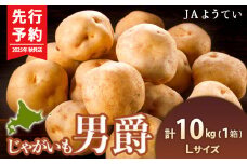【2025年秋発送 先行予約】じゃがいも 馬鈴薯（男爵）Ｌサイズ　10kｇ＜JAようてい＞ ジャガイモ 芋 いも イモ 野菜 常温