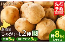 【2026年発送 先行予約】じゃがいも2種 馬鈴薯（男爵5kg＆きたかむい3kg）Ｌサイズ 合計8kｇ＜JAようてい＞じゃがいも 芋 秋じゃが 野菜 ポテト 北海道 国産