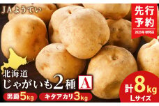 【2025年秋発送 先行予約】じゃがいも2種 馬鈴薯（男爵5kg＆キタアカリ3kg） Ｌサイズ 合計8kg＜JAようてい＞