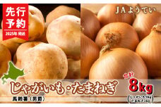 【2025年発送 先行予約】じゃがいも5kg＆玉ねぎ3kg 食べ比べセット 合計8kｇ＜JAようてい＞じゃがいも 芋 秋じゃが 野菜 ポテト 北海道 国産