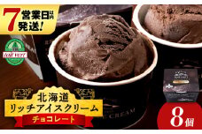 リッチアイスクリーム カカオ香るほどよい甘さのチョコレート 8個セット（100ml）アイス スイーツ おやつ 冷凍 食べ比べ