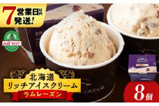リッチアイスクリーム 香り高い魅惑のラムレーズン 8個セット（100ml）アイス スイーツ おやつ 冷凍 食べ比べ