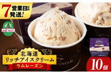  リッチアイスクリーム 香り高い魅惑のラムレーズン 10個セット（100ml）アイス スイーツ おやつ 冷凍 食べ比べ