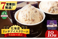 リッチアイスクリーム 香り高い魅惑のラムレーズン 18個セット（100ml）アイス スイーツ おやつ 冷凍 食べ比べ