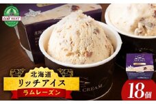 リッチアイスクリーム 香り高い魅惑のラムレーズン 18個セット（100ml）アイス スイーツ おやつ 冷凍 食べ比べ
