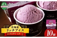 リッチアイスクリーム 手摘みカシスとクリームチーズ 10個セット（100ml）アイス スイーツ おやつ 冷凍 食べ比べ