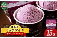 リッチアイスクリーム 手摘みカシスとクリームチーズ 15個セット（100ml）アイス スイーツ おやつ 冷凍 食べ比べ