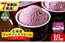 リッチアイスクリーム 手摘みカシスとクリームチーズ 18個セット（100ml）アイス スイーツ おやつ 冷凍 食べ比べ