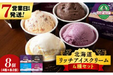 リッチアイスクリーム 8個セット（100ml）【 4種 × 各2個】アイス スイーツ おやつ 冷凍 食べ比べ