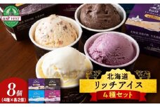 リッチアイスクリーム 8個セット（100ml）【 4種 × 各2個】アイス スイーツ おやつ 冷凍 食べ比べ