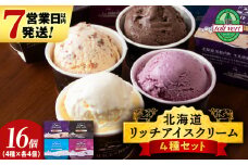 リッチアイスクリーム 16個セット（100ml）【 4種 × 各4個】アイス スイーツ おやつ 冷凍 食べ比べ