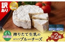 【訳あり・お試し】ホワイトブルーチーズチーズ 90g 2個 《 トワヴェール 》 黒松内 北海道 お試し 訳あり