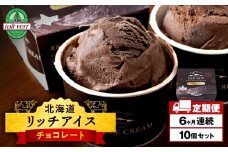 【定期便6ヶ月】リッチアイスクリーム カカオ香るほどよい甘さのチョコレート 10個セット（100ml）