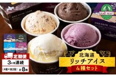 【定期便3ヶ月】リッチアイスクリーム 8個セット（100ml）【 4種 × 各2個】アイス スイーツ おやつ 冷凍 食べ比べ