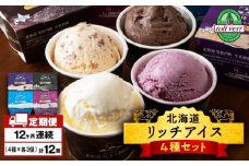 【定期便12ヶ月】リッチアイスクリーム 12個セット（100ml）【4種×各3個】アイス スイーツ おやつ 冷凍 食べ比べ