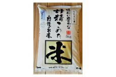 〈令和5年度〉らんこし米 ゆめぴりか 5kg (かわさきファーム)