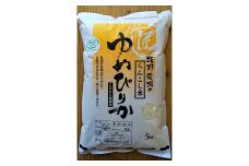 ＜令和5年産＞らんこし米 ゆめぴりか 5kg（坂野農場）