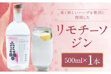 リモチーソジン 500mL