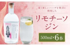リモチーソジン 500mL×6本セット
