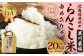 【4ヶ月定期便】 らんこし米 ゆめぴりか 5kg 合計 20kg （黒川農場）