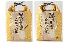【2ヶ月定期便】らんこし米 食べ比べ （ななつぼし・ゆめぴりか）各5kg （黒川農場）【2024年10月下旬発送開始】お米 米 蘭越米