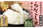 【5ヶ月定期便】らんこし米 （ゆめぴりか） 2kg （黒川農場）