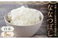 【令和6年産】有機JAS転換期間中有機農作物 らんこし産 ななつぼし 5kg
