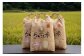 【令和6年産】有機JAS転換期間中有機農産物 らんこし産 ゆめぴりか 5kg