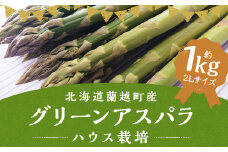 グリーンアスパラ ハウス栽培 2L（約1kg相当）【2025年4月下旬～5月上旬発送予定】 野菜 アスパラ アスパラガス やさい