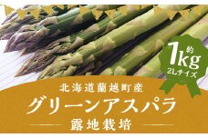 グリーンアスパラ 露地栽培 2L（約1kg相当）【2025年5月下旬～6月上旬発送予定】野菜 アスパラ アスパラガス やさい
