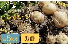 北海道 蘭越産 じゃがいも （男爵） 約5kg【2025年11月下旬-2026年4月上旬発送予定】野菜 5kg 男爵 ポテト 常温 北海道産 蘭越町