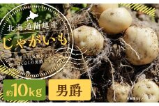 北海道 蘭越産 じゃがいも（男爵） 約10kg【2025年11月下旬-2026年4月上旬発送予定】
